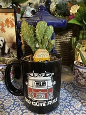 cactus Houseplant In Old