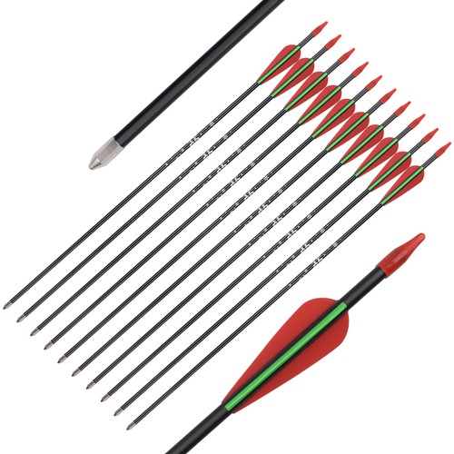 12x archery fiberglass arrows - 12x,