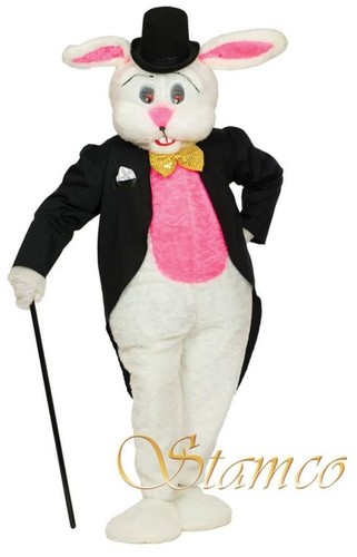 Tailcoat mascot fancy - mascot, dress