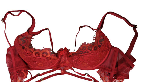 Honey birdette red lace - honey,