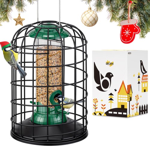 Iborn squirrel proof - squirrel, bird