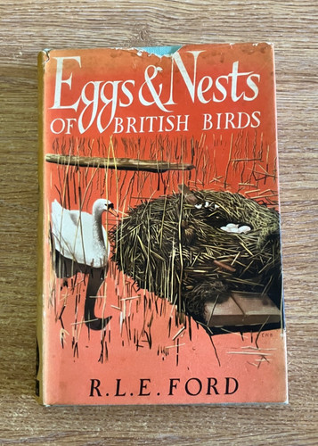 Eggs and nests - eggs, british