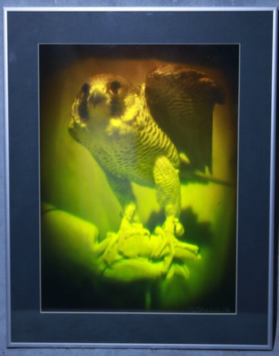 Falcon reflection hologram - on,