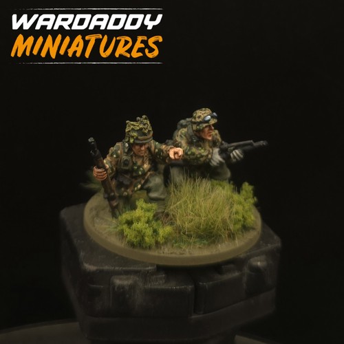 Pro painted 28mm - pro,