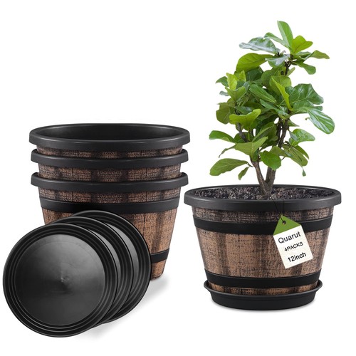 Quarut plant pots - plant,