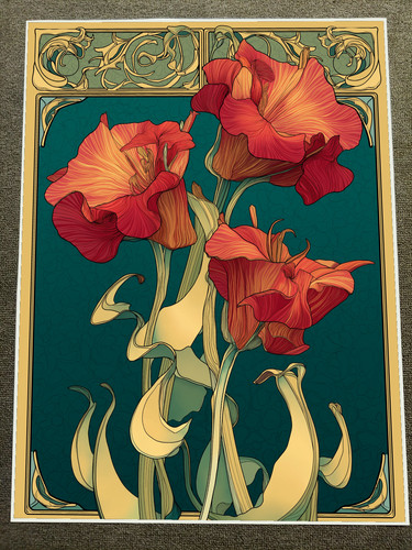 Red and orange poppies - red, with