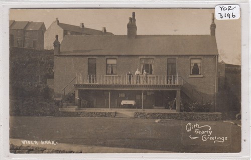 Stocksbridge viola bank area - viola,
