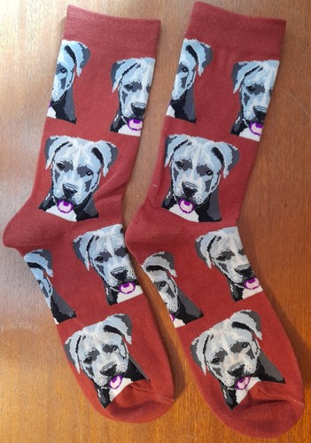 Novelty staffordshire bull - novelty,