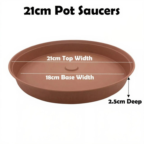 21cm plant pot - plant,