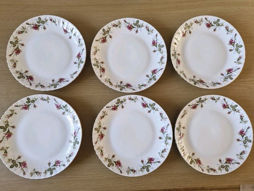 Chodziez poland plates - chodziez,