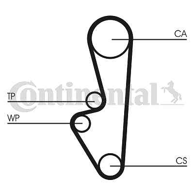 Timing belt continental ctam - belt,