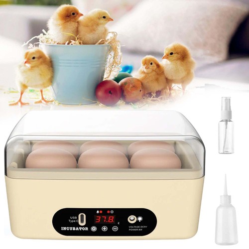 Egg incubator home - home, hatching