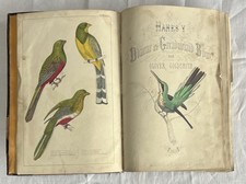 Welsh Language Goldsmith 1866 History Of the Earth & Animated Nature Illustrated