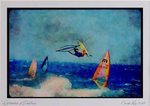 Sailing 339068 neill cup - sailing,