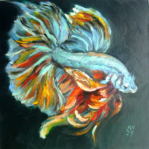 Betta fish original oil - betta,