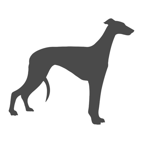 Italian greyhound vinyl decal - greyhound,