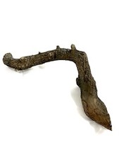 Trixie Reptile Terrarium