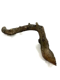 Trixie reptile terrarium - trixie,