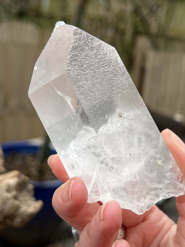 Large lemurian seed clear - lemurian,