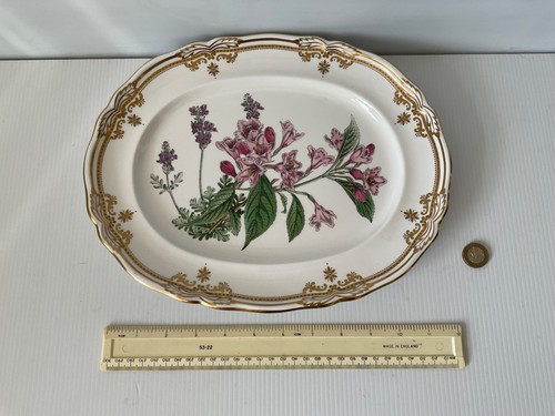 Rare vintage spode stafford - rare,