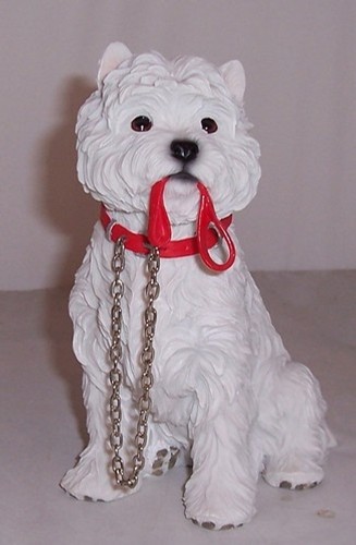 Leonardo west highland terrier - leonardo,