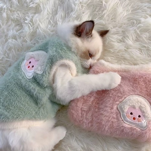 Soft winter cat - soft,
