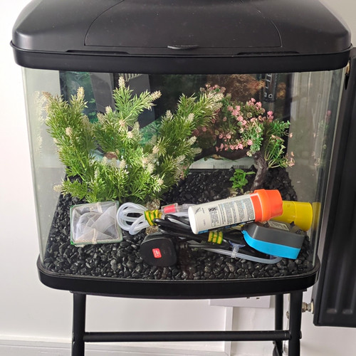Bowfront glass aquarium fish - bowfront,