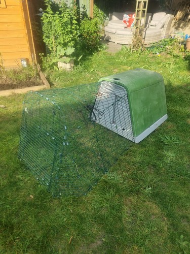 Omlet eglu guinea - pig, cage
