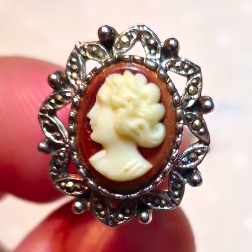 Oval shell cameo - shell,