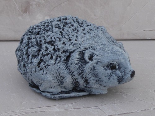 Adorable baby hedgehog - adorable, cast