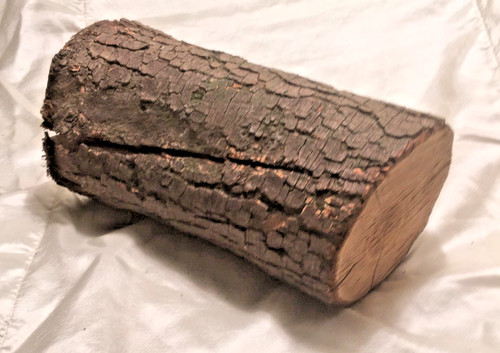 Holm oak wood - 1, blank