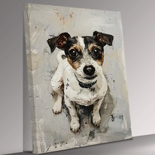Jack Russell Dog Beautiful