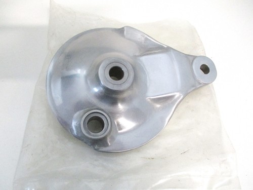 Brake anchor plate rear/panel