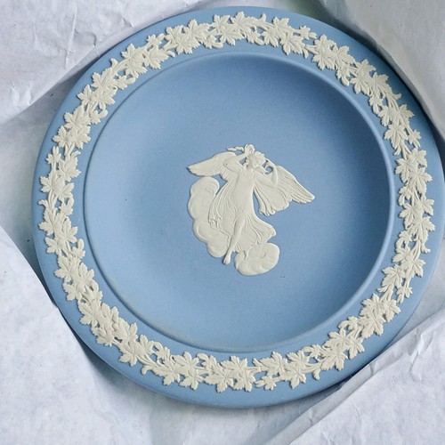 Blue wedgewood plate jasper - blue,