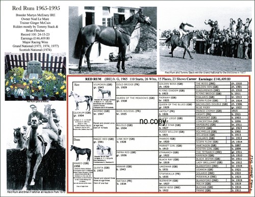 Horse racing grand national - racing,