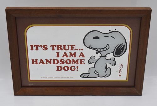 Snoopy framed wall plaque - framed,