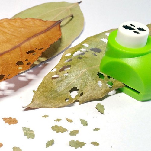 Leaf punch diy - leaf),