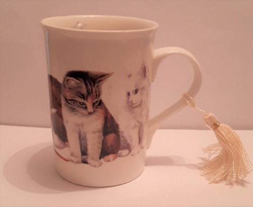 Gorgeous kindle kittens cat - gorgeous,