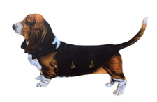 Basset Hound Key Rack - Basset