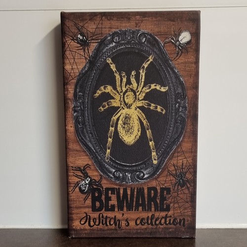 Maxx beware witch s - maxx, witch's