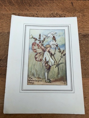 Early 1900s colour print from - early,