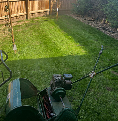 Ransomes marquis petrol - ransomes,