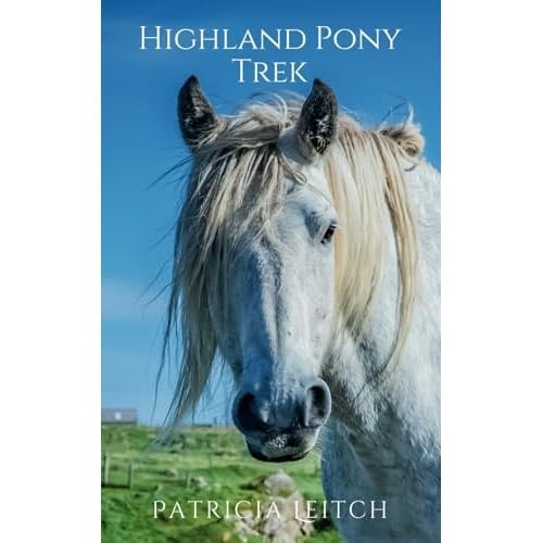 Highland pony trek new - pony,