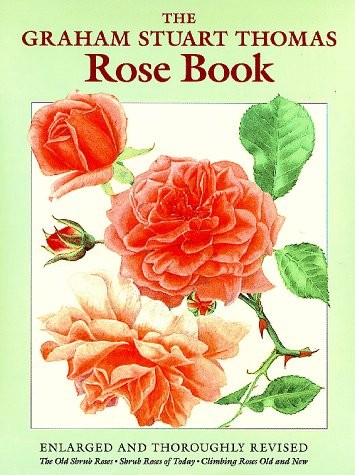 The graham stuart thomas rose - the,