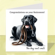 Black Labrador Dog Retirement