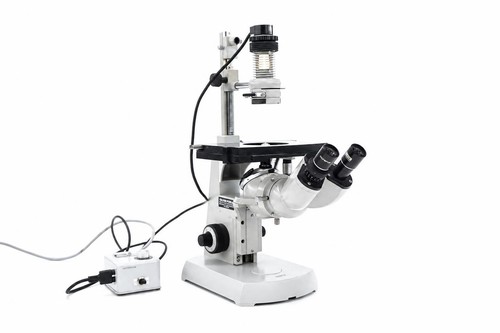Zeiss inverted microscope - inverted,