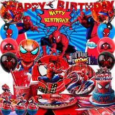 Spiderman Party Decoration