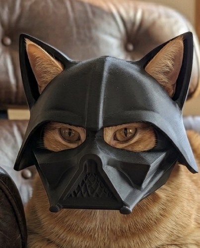 Darth vader style cat - style, helmet