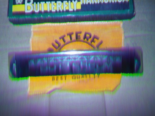 Rare antique butterfly - rare,