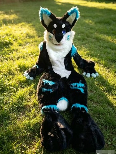 Long fur husky dog fox - husky, mascot